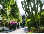 Hillside-Neighborhood_