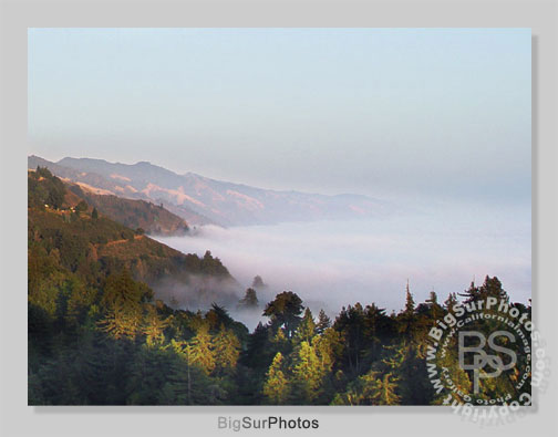 Coastal Morning Fog