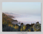 See Larger Image