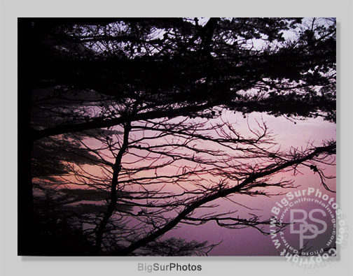 Pink Sunset