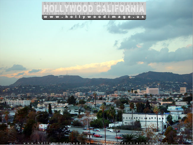 Hollywood-City-view-2