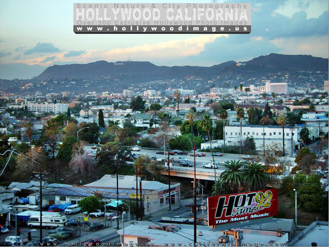 Hollywood-City-view