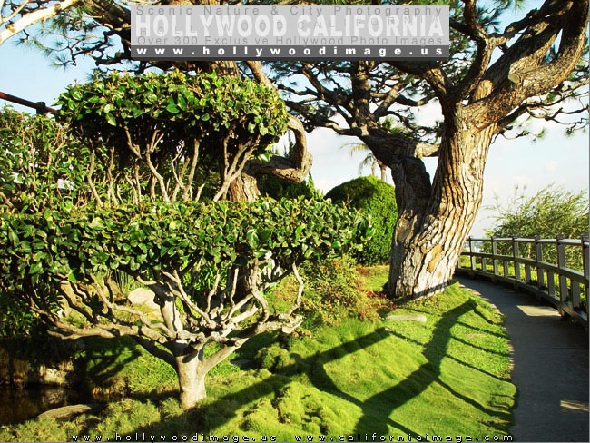 Hollywood-hills-Yamashiro-park-2