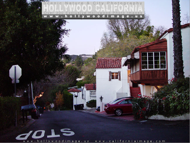 Hollywood-hills-street-3