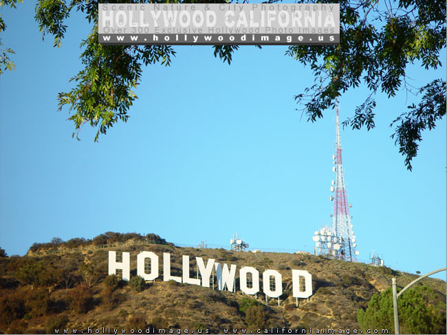 Hollywood-sign-24