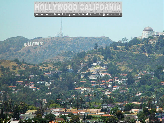 Hollywood-sign-and-Griffith-park