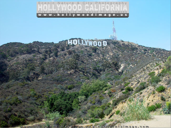 Hollywood-sign-bottom-hill