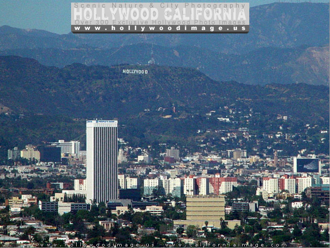 Hollywood-view-from-west-4