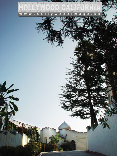 Hollywood_Hills_Street-3