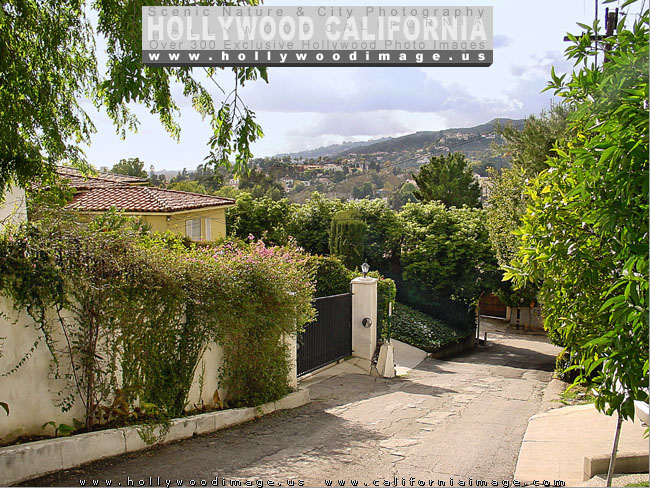 Hollywood_Hills_Street