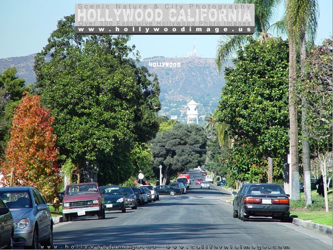 Hollywood_hill-street-and-sign