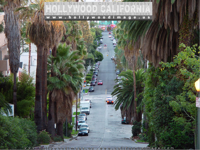 Hollywood_hill-street