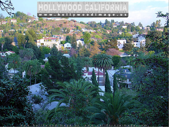 Hollywood_hill-view