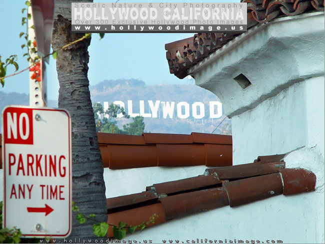 Hollywood_street_sign-1