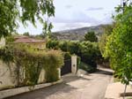 Hollywood_Hills_Street