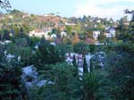 Hollywood_hill-view