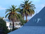 Hollywood_hills-house-roof