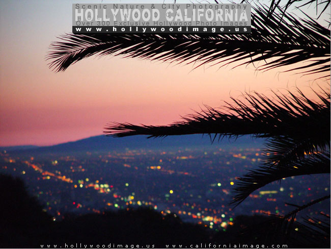 Hollywood-Night-Lights