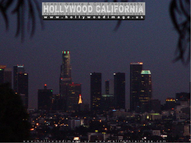 Hollywood-Night-Lights