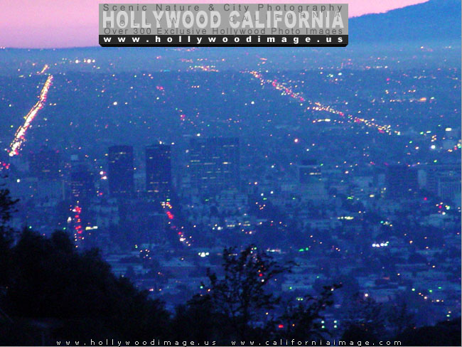 Hollywood-Night-Lights