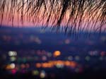 Hollywood-Night-Lights