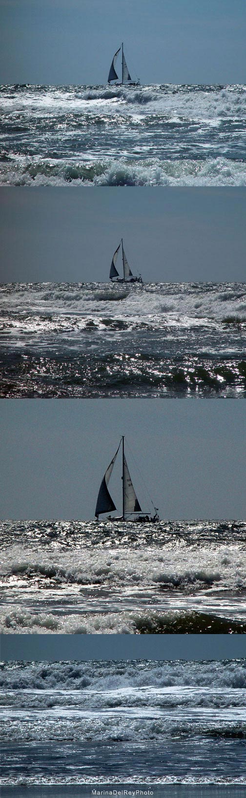 Marina Sailing