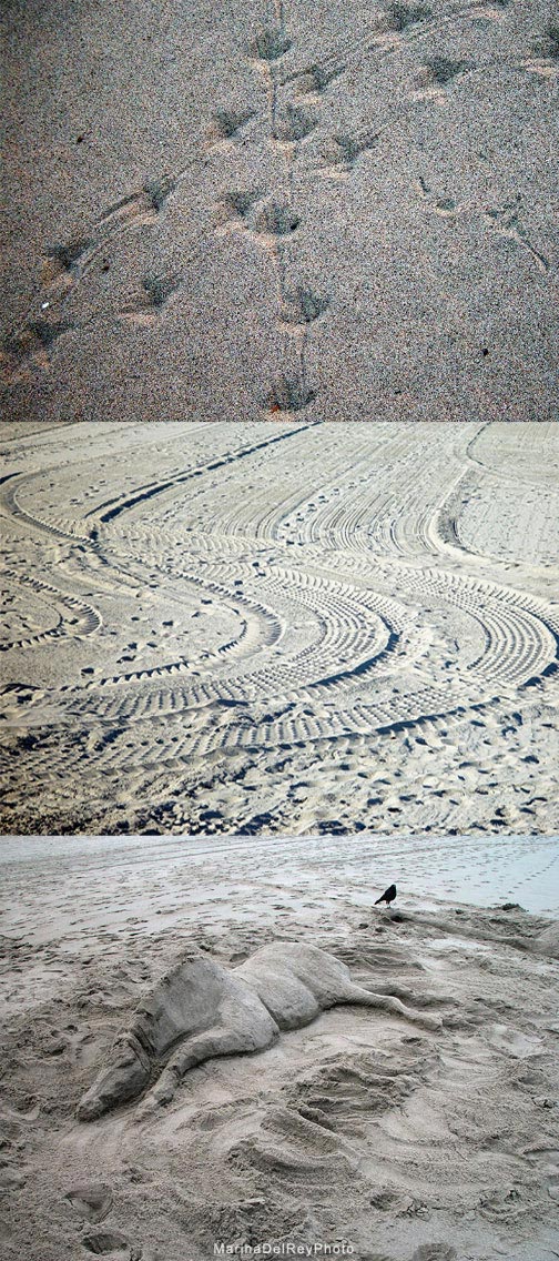 Sand