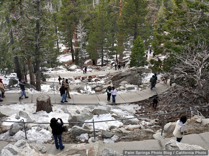 Mount San Jacinto