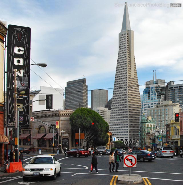 condor-and-transamerica-pyramid