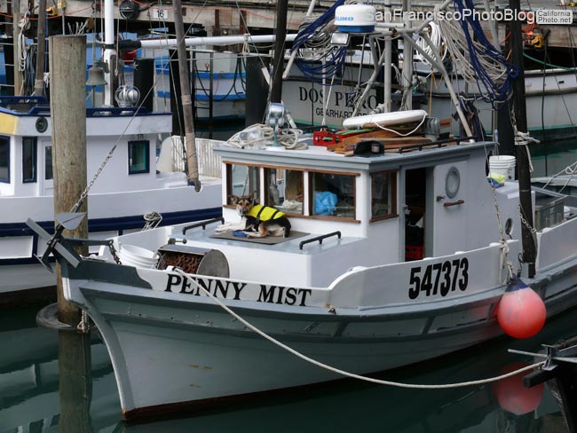 fishermans-wharf-san-francisco-3