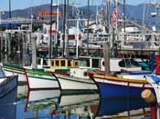 fishermans-wharf-san-francisco