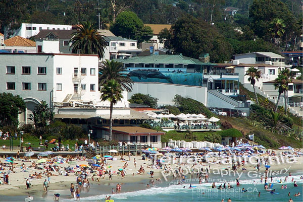 Laguna