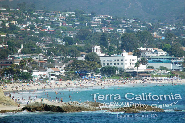 Laguna