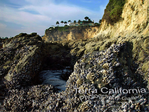 Laguna