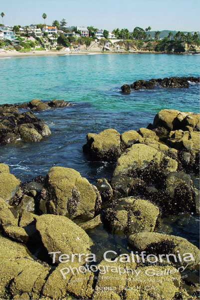 Laguna