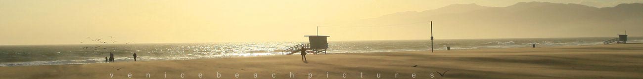 Venice Beach