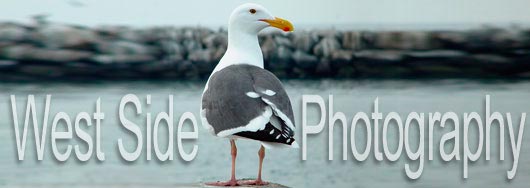 West Side Photography
