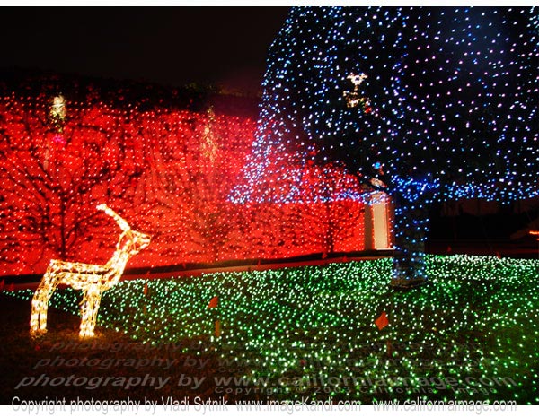 Wonder - Merry Christmas from California! 