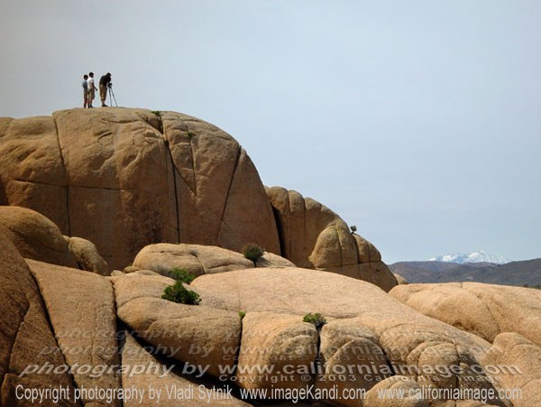 Joshua Tree Park Photographers