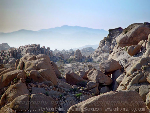 Joshua Tree Park Rocks