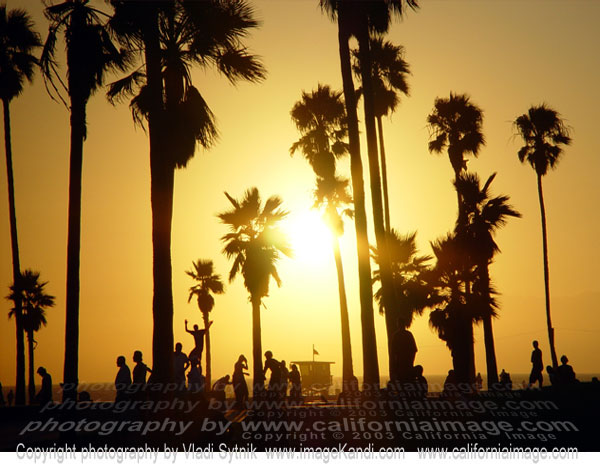 california beach sunset. Venice Beach Skaters Sunset