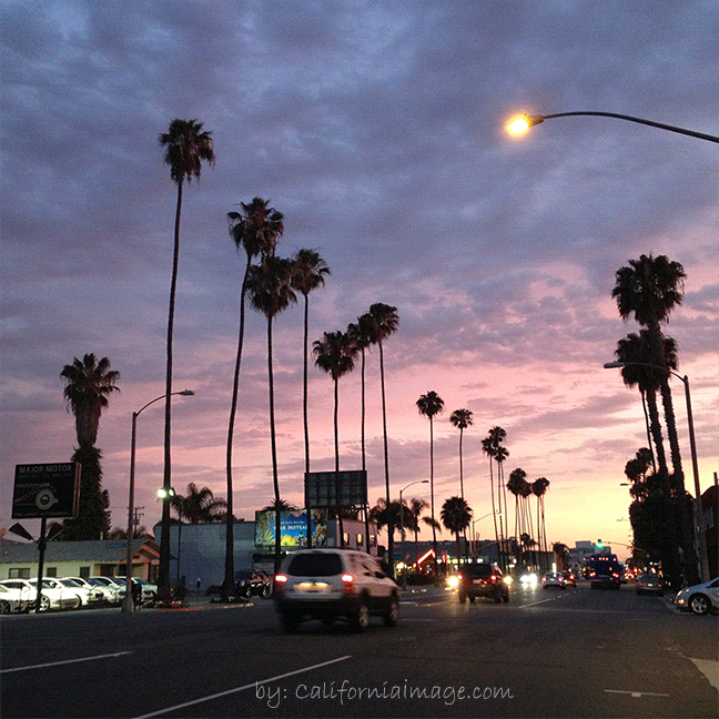 Hollywood California