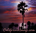 Beach Sunset