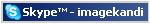 Skype Contact
