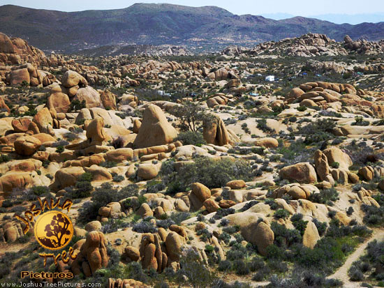 Desert