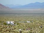 Joshua-Tree-Desert-April