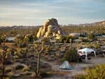 Joshua-Tree-Desert-April