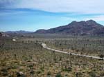 Joshua-Tree-Desert-April