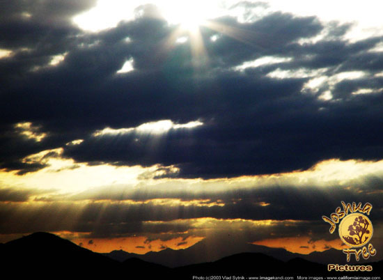 Sunlight