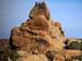Joshua_Tree_April_2003_